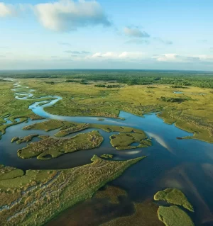 Paseo de Un Día a Parque Nacional Everglades