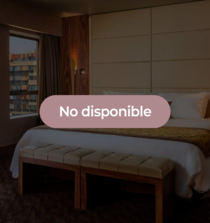 Estadía de Una Noche en Hotel de Santiago