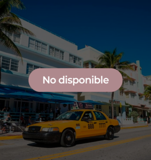 Transporte para Moverse Dentro de Miami