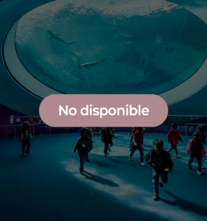 Tickets para Museos Divertidos en Miami